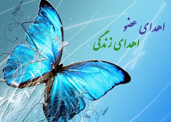 انجمن اهدای عضو ایرانیان بوشهر تاسیس شد