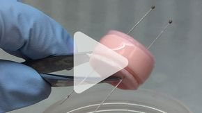 Watch these tissue-engineered spinal disks mimic the real thing