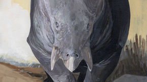 A giant in the time of dinosaurs: Ancient mammal cousin looked like cross between a rhino and a turtle