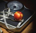 Study in mice suggests drug to turn fat ‘brown’ could help fight obesity