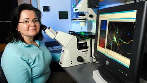 Scientists share MIT ‘disobedience’ award for #MeToo advocacy
