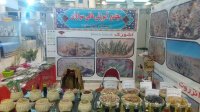 ارائه نمونه های کمیاب گیاهان دارویی در جشنواره و نمایشگاه ملی گیاهان دارویی کشور