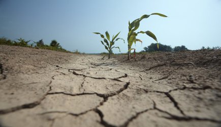 Hot, dry years will hit many regions simultaneously