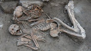 In biblical city of Armageddon, signs of early vanilla and elaborate medical care