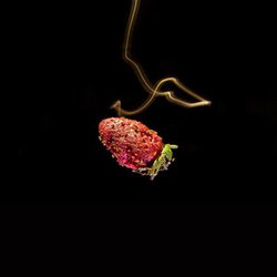 Cracking Open a Cold One with the Flies