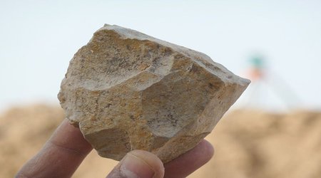 Algeria fossils cast doubt on East Africa as sole origin of stone tools