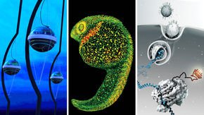 The finalists are in: Vote for the 2018 People’s Choice for Breakthrough of the Year!