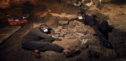 ‘Little Foot’ hominin emerges from stone after millions of years