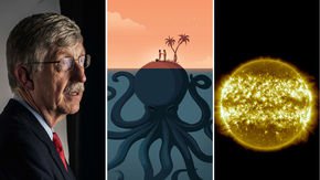 Top stories: CRISPR babies fallout, research funders’ tax havens, and our ancient shrinking sun