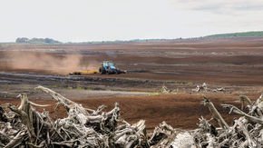 Power from peat—more polluting than coal—is on its way out in Ireland