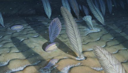 Why deep oceans gave life to the first big, complex organisms