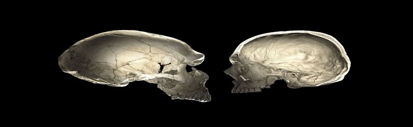Podcast: ‘The Tragedy of the Commons’ turns 50, and how Neanderthal DNA could change your skull