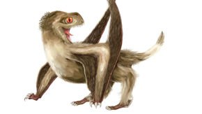 This ancient ‘hairy dragon’ may have sported primitive feathers