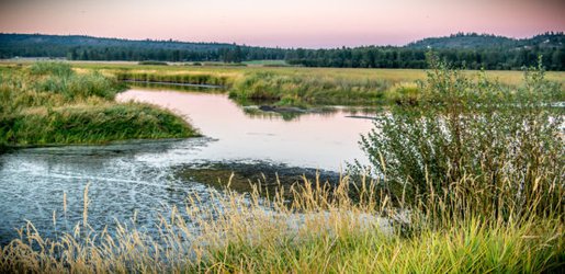Q&A on the Clean Water Act rollback
