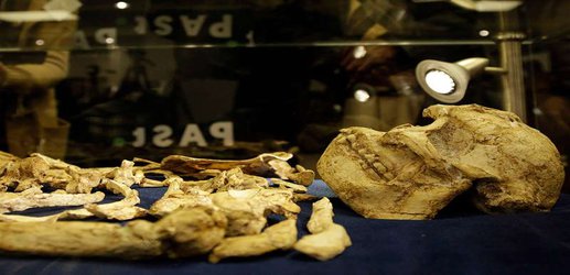 Hominin v monkey deathmatch ended in a draw when they fell down a hole