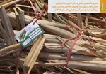 انتقال قلمه های حاصل از کشت بافت به کشت و صنعت ها