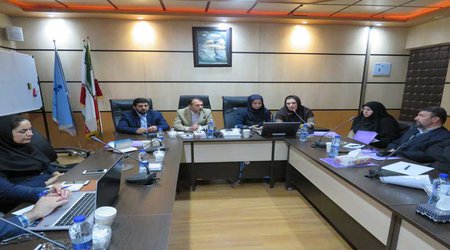 کارگاه آموزشی سامانه مدیریت زنجیره تامین فرآورده های سلامت در گلستان در حال برگزاری است