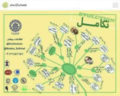 ارائه های پاییز و زمستانی تکامل