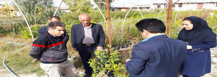 رئیس مرکز تحقیقات کشاورزی کهگیلویه و بویراحمد از نهالستانهای استان بازدید به عمل آوردند