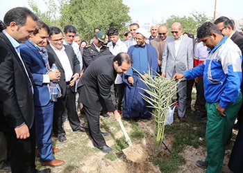 رییس دانشگاه علوم پزشکی بوشهر:
شغل پرستاری با شریف‌ترین جلوه آفرینش الهی مرتبط است/ گزارش تصویری