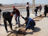 اجرای طرح "هر انجمن یک درخت" در دانشگاه یزد