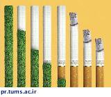 دخانیات؛ افزایش مالیات، کاهش مرگ و بیماری