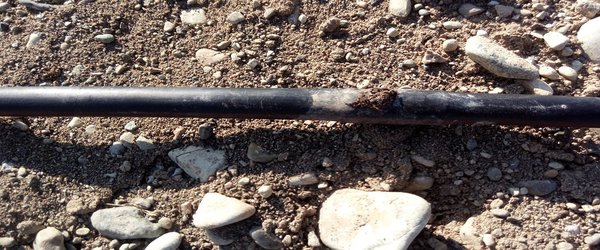 بازدید مشاور وزیر از پروژه تحقیقاتی روش های آبیاری زیرسطحی موسسه تحقیقات فنی و مهندسی کشاورزی