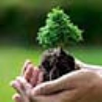 برگزاری مراسم روز درختکاری در موسسه پژوهشی علوم و فناوری رنگ و پوشش