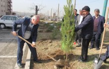 آئین غرس درخت در واحد تهران شمال به روایت تصویر