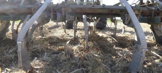 انجام عملیات کاشت گندم مزارع پرورشی ازدیادی در بقایای ذرت و پنبه به روش بی خاک ورزی