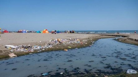 پژوهشگاه در طرح ساماندهی جنگل ها و سواحل نقشه راه ارائه می دهد