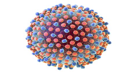 Hepatitis C programmes could save 1.5 million deaths by 2030