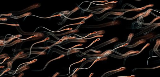 We've only just found out exactly how sperm wiggle their tails to swim