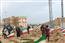 کاشت بیش از 500 اصله نهال در دانشگاه ملایر به مناسبت روز درختکاری