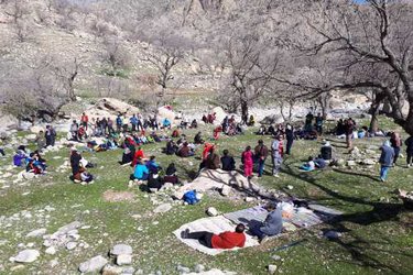 برگزاری همایش پیاده روی خانوادگی کارکنان بیمارستان شهید رجایی و شبکه بهداشت و درمان گچساران +عکس