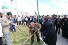 خانواده شهدای دانشجو در دانشگاه آزاد اسلامی زاهدان درخت غرس کردند