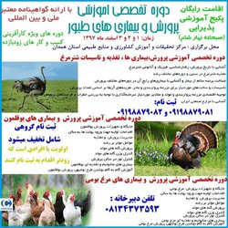 دوره تخصصی آموزشی پرورش و بیماری های طیور ( بوقلمون ، مرغ بومی ، شترمرغ)