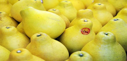 Material made from citrus fruit peel could help clean up oil spills