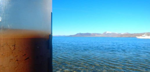 DNA-eating bacteria lurk beneath the Atlantic Ocean floor