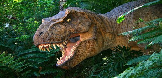 Tyrannosaurus rex might have accidentally helped fruit grow