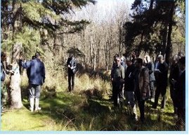 گزارشی از عملیات جنگل شناسی کاربردی در مرکز تحقیقات و آموزش کشاورزی و منابع طبیعی مازندران