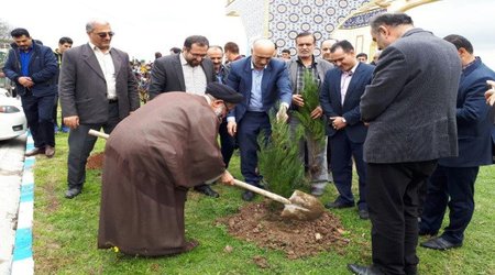 غرس هزار اصله نهال در طرح یاد سبز شهدا دانشگاه آزاد اسلامی قائم‌شهر