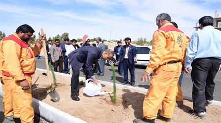 برگزاری جشنواره روز درختکاری در دانشگاه سیستان و بلوچستان