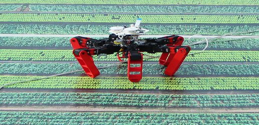 Robot mimics desert ants to find its way home without GPS
