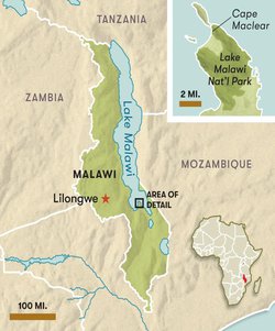 The Fishy Mystery of Lake Malawi