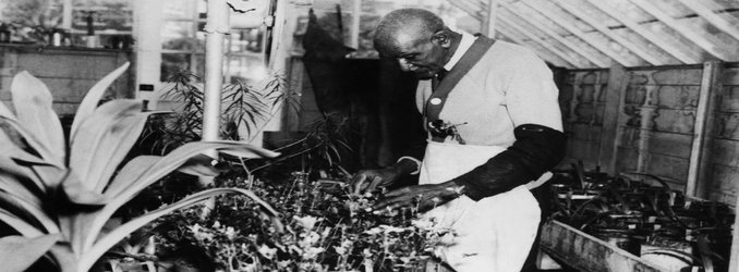 In Search of George Washington Carver’s True Legacy