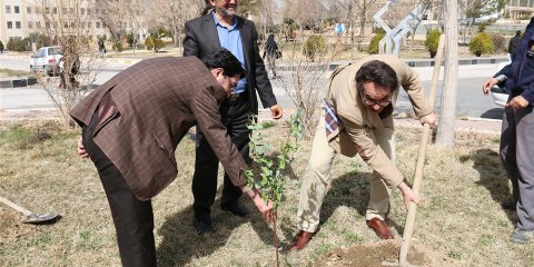 روز درختکاری در دانشگاه آزاد اسلامی واحد همدان