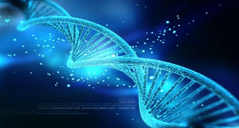 Distorted, stretched DNA may increase risk of CRISPR-Cas9 mistakes