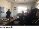 برگزاری جشنواره غذا به همت خانه بهداشت و دهیاری و شورای روستای نظام‌آباد در شهرستان اسلامشهر