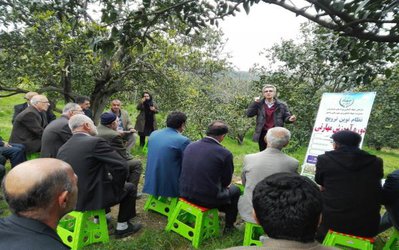 برگزاری کارگاه آموزشی کنترل آفات مرکبات، روش های اصولی هرس زمستانه مرکبات و تغذیه باغات مرکبات با همکاری پژوهشکده مرکبات و میوه های نیمه گرمسیری